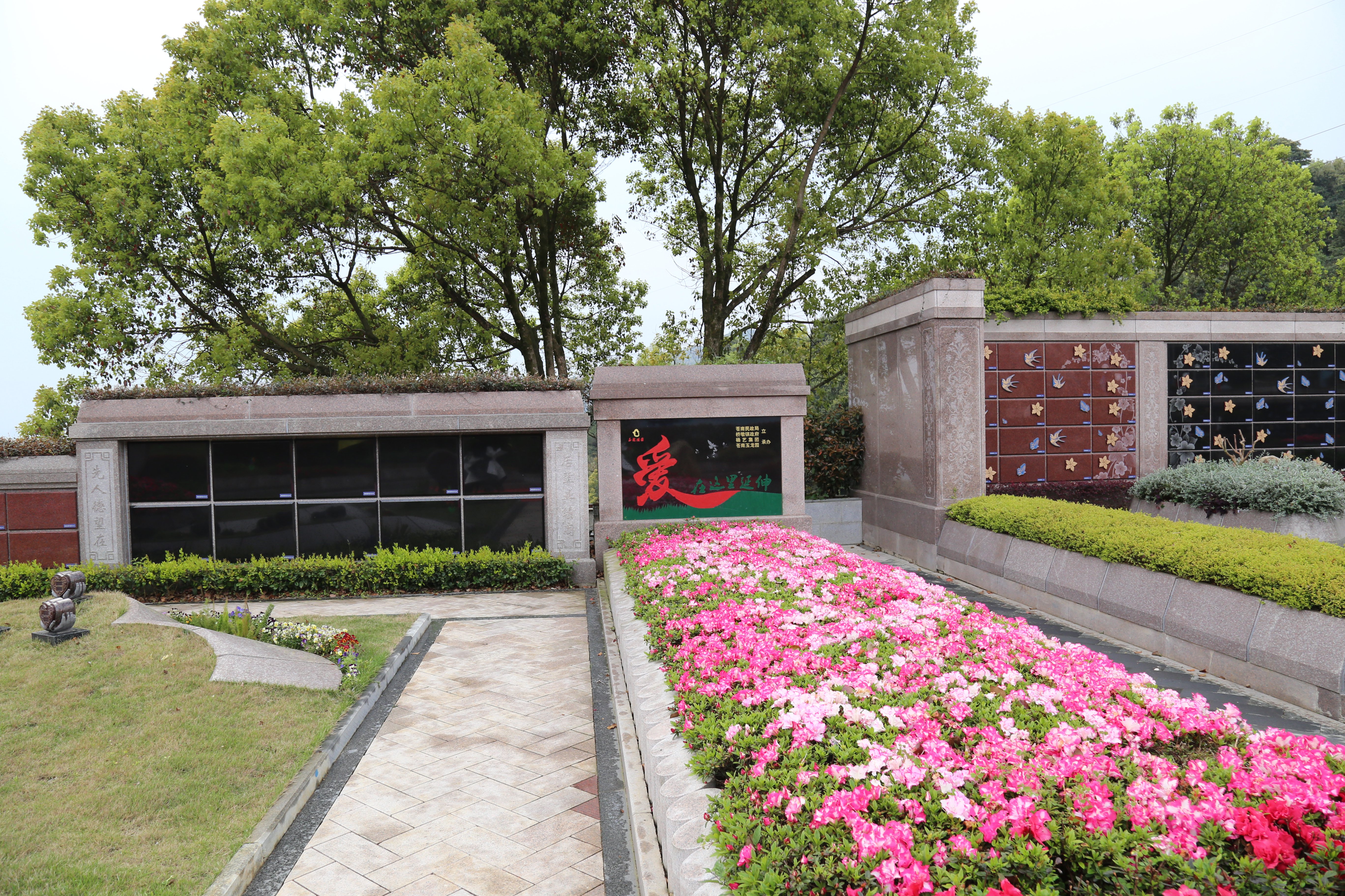 带你了解花葬：环保与浪漫并存的绿色殡葬方式