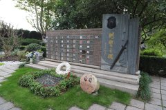 致敬“平安卫士”，铭记“刑警之魂”